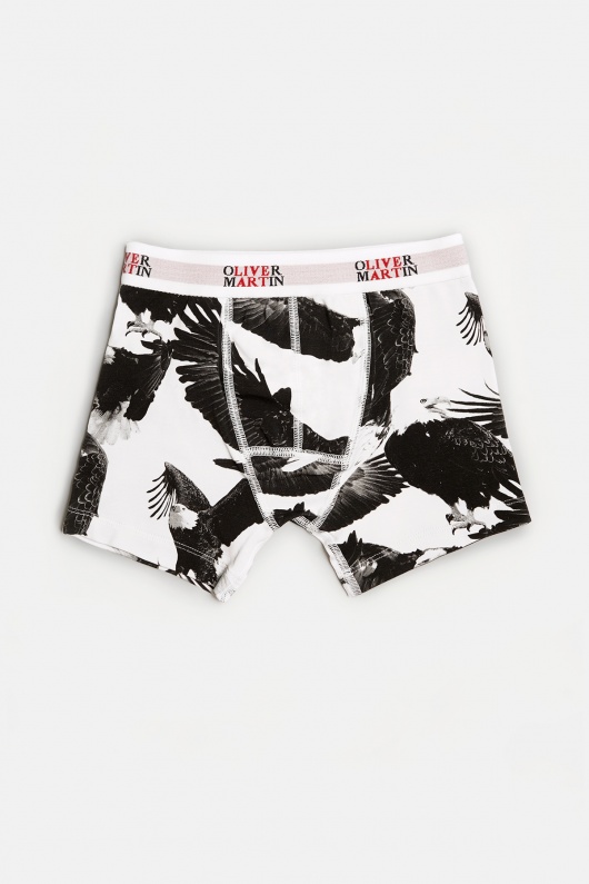 Boys Boxers Eagles Fly