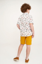 Short sleeves shirt Light cotton short sleeves shirt Safari with snap buttons 2